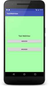 webview_0
