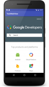 webview_1