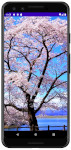 as413 m37 00 - [Android] ImageView ScaleType 画像をScreenにフィットさせる