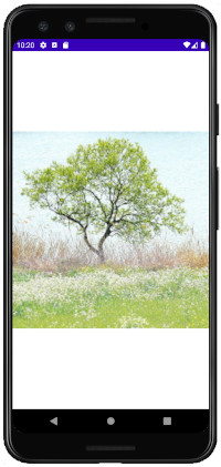 as413 m43 - [Android] ImageView ScaleType 画像をScreenにフィットさせる