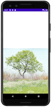 as413 m45 - [Android] ImageView ScaleType 画像をScreenにフィットさせる