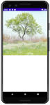 as413 m47 00 - [Android] ImageView ScaleType 画像をScreenにフィットさせる
