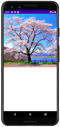 as413 m48 - [Android] ImageView ScaleType 画像をScreenにフィットさせる