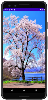 as413 m50 - [Android] ImageView ScaleType 画像をScreenにフィットさせる