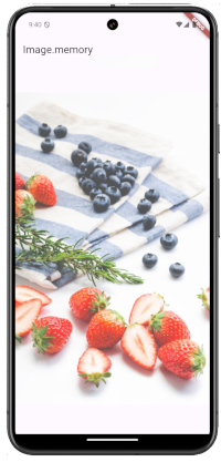 flutter img 03b - [Flutter] Image.memory 画像のバイトデータを表示する