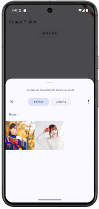 flutter imgpic 02 - [Flutter] image_picker 画像を読み出す