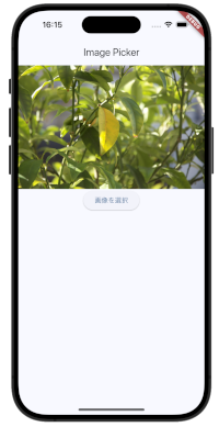 flutter imgpic 07 - [Flutter] image_picker 画像を読み出す