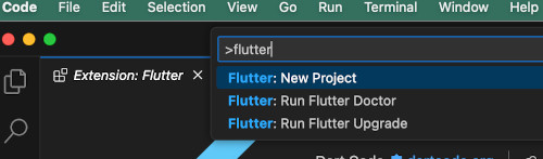 flutter newp 02 - [Flutter] VSCode 初めてのプロジェクト作成